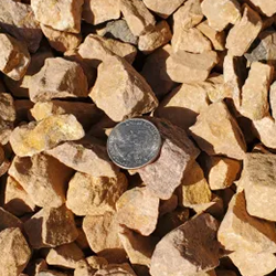 Gold 1 inch gravel, featuring a captivating blend of stones in shimmering golden tones, accompanied by a quarter for size reference. Available at Albuquerque Landscape Supply, this high-quality gravel adds a touch of glamour to outdoor projects. Use it for pathways, driveways, or as a decorative element to infuse your landscape with a touch of luxury and elegance.
