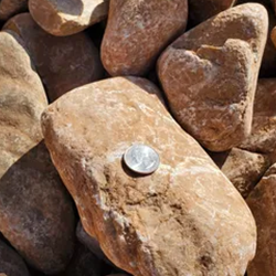 Mountainair Brown 2 - 4 inch gravel, featuring a natural and rustic blend of stones in earthy brown tones, accompanied by a quarter for size reference. Available at Albuquerque Landscape Supply, this high-quality gravel adds texture and charm to outdoor spaces. Use it for pathways, rock gardens, or as a decorative element to create a warm and inviting ambiance in your outdoor retreat.