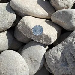 Grey round 2 - 4 inch gravel, featuring a mix of substantial textured stones in various shades of gray, showcased with a quarter for scale. Available at Albuquerque Landscape Supply, this high-quality gravel adds a rustic and natural-looking element to your outdoor space. Use this versatile material for constructing walkways, garden borders, or as a bold decorative element, bringing a substantial presence to your landscape design.