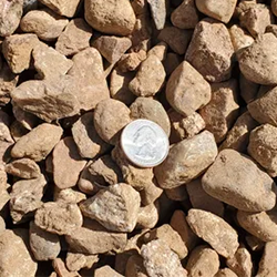 Santa Fe Brown 7/8 inch gravel, featuring a captivating blend of stones in rich brown hues, accompanied by a quarter for size reference. Available at Albuquerque Landscape Supply, this high-quality gravel adds depth and character to outdoor projects. Use it for pathways, driveways, or as a decorative element to infuse your landscape with the warm tones of the Southwest.