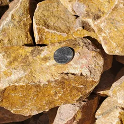 Gold 2 - 4 inch gravel, showcasing a striking blend of stones in golden hues, ranging in size from 2 to 4 inches, accompanied by a quarter for size reference. Available at Albuquerque Landscape Supply, this high-quality gravel adds a touch of luxury to outdoor spaces. Use it for pathways, garden accents, or as a standout feature to create a bold and vibrant landscape design.